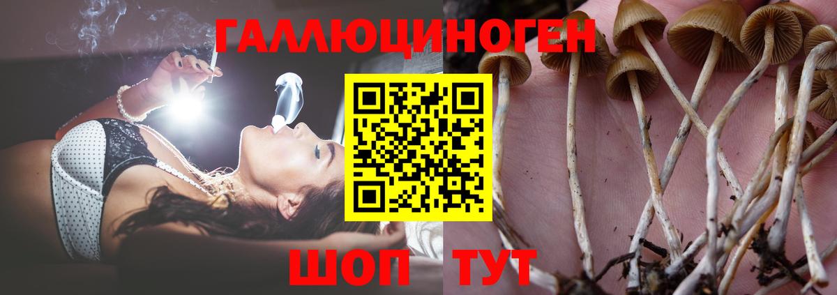 Галлюциногенные грибы MAGIC MUSHROOMS  Вход с VPN  Урай 